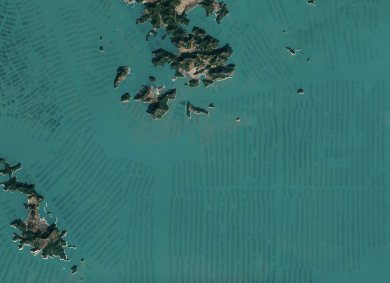 Illustration for article titled Beautiful NASA satellite photos reveal South Korea's seaweed farms